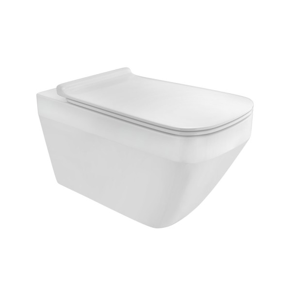 Rimless Wall Hung WC
