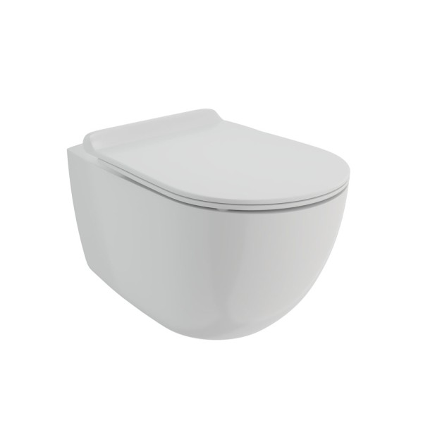 Rimless Wall hung WC