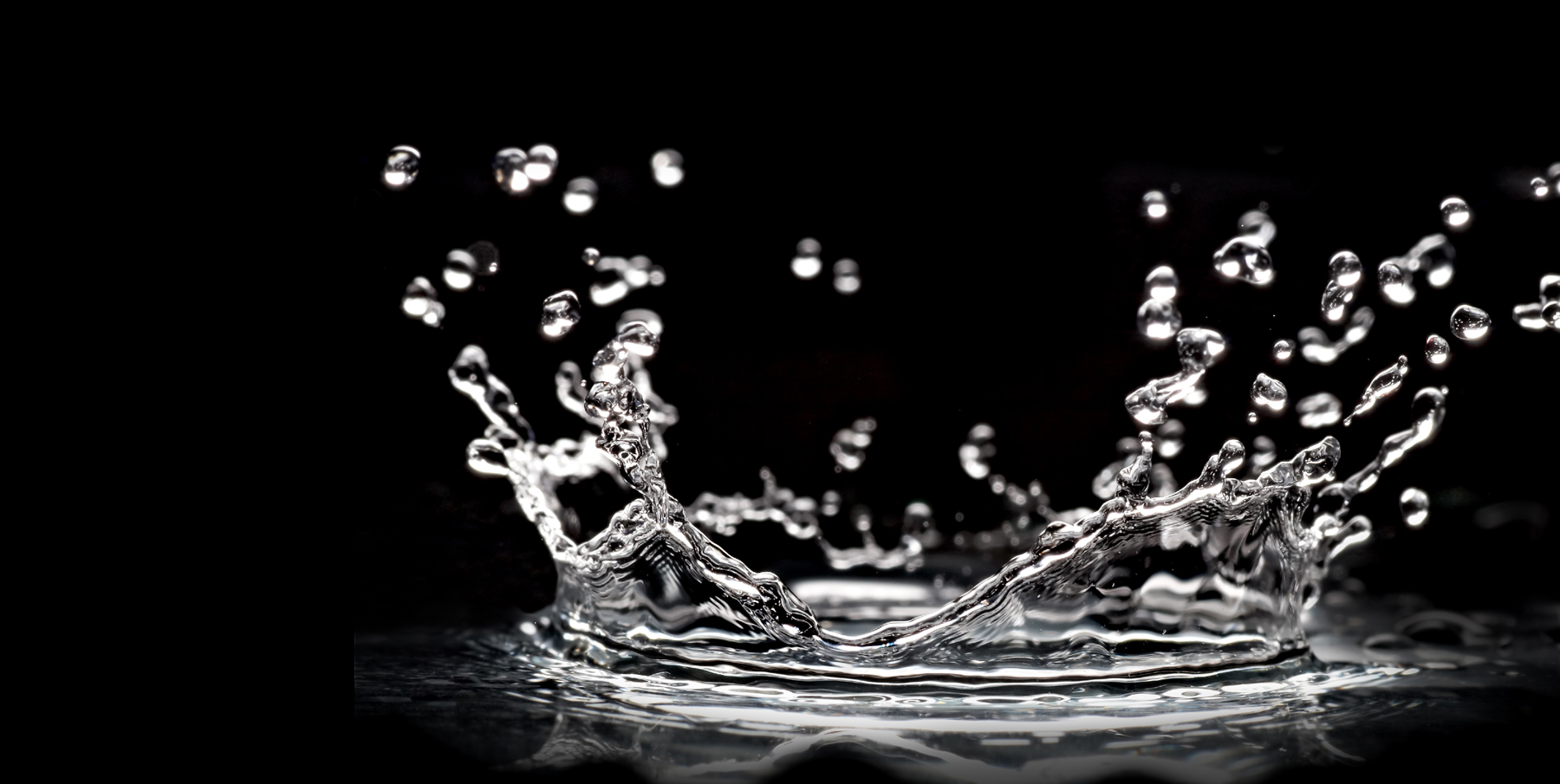 download_bannersection1