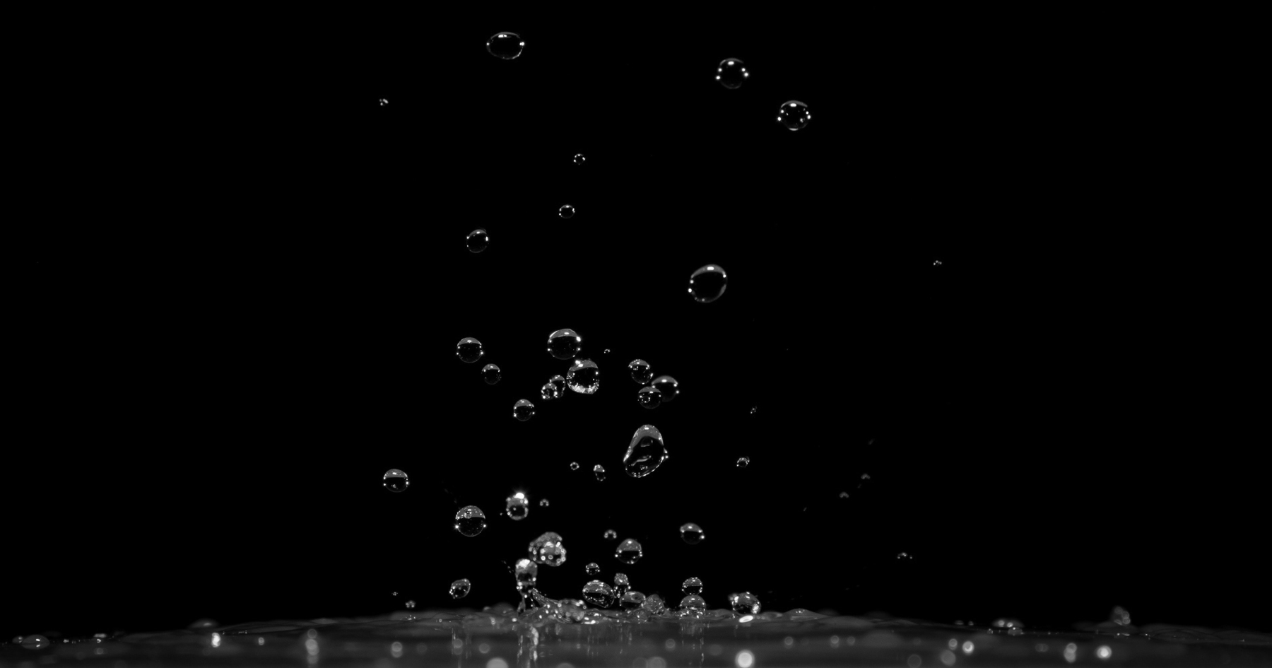 download_bannersection1